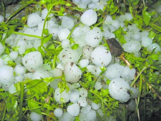 平武遭受冰雹大风袭击