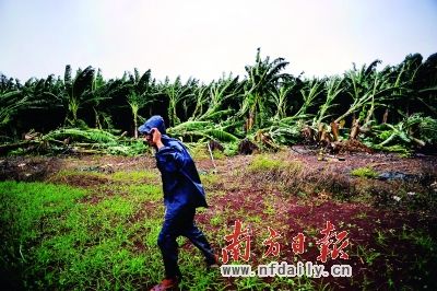 ��̨�硰��̹��Ӱ�죬�����㽶��Ƭ�㵹����Ц ��