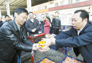 江西省南丰县蜜橘今年大丰收   ■去年畅销的蜜橘今年销售遇阻