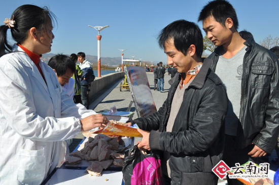 海埂野生动物园云南大坝发鸥粮治天下海鸥油茶面美食图片