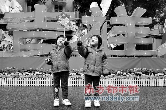 五区花市今起迎客