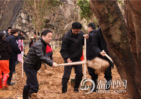 温州市民收到"绿色年礼" 牛山公园今早开工