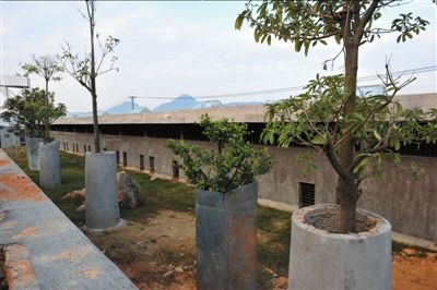 亚洲动物基金会称熊胆药用价值有限