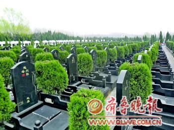 3月31日,在济宁一处陵园内,公墓林立。能在百年之后拥有“一席之地”长眠,是人们的传统愿望。　见习记者　何泉峰　摄