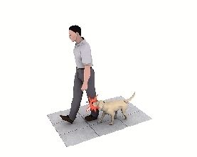 黄狗发狂 20余名路人挨咬 多是腿部受伤 事发