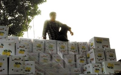 5月12日，河北石家庄赵县，一名男子坐在装满了梨的箱子上，等待搬运工来装车。实习生 杨程晨 摄