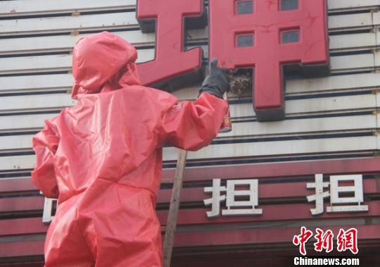 河南多地频现蜂患市民苦不堪言专家详解妙招
