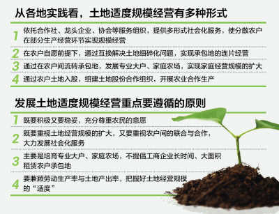 ��ͼ���̻�ΰ