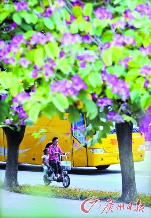 中山惠州湛江三市将试点电动自行车上牌管理|