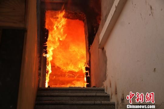 ����Ѷ�ס11��������š� ������ ��