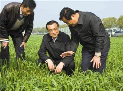 3月28日，李克强在江苏常熟市田娘家庭农场察看麦苗长势。 新华社记者 李学仁 摄