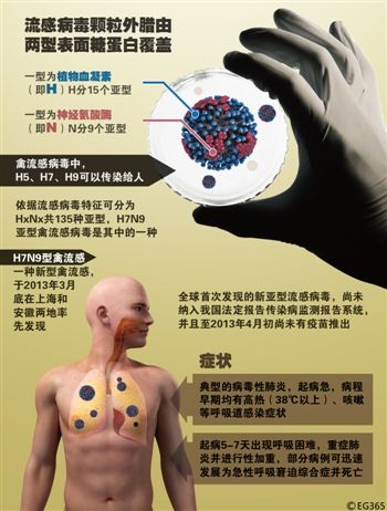 H7N9�����в���֢״