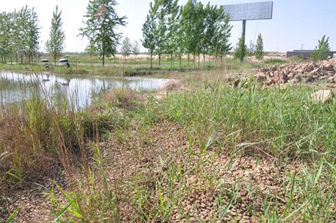 ͼΪ�����ཬ�㵹�ֳ�