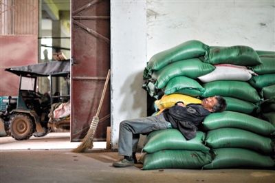 3月15日，湖南山岭米厂的一名工人躺在原粮库的粮堆上休息。因之前媒体爆出深圳从湖南采购的万吨大米镉超标，致湖南米业遇冷。新华社记者 白禹 摄