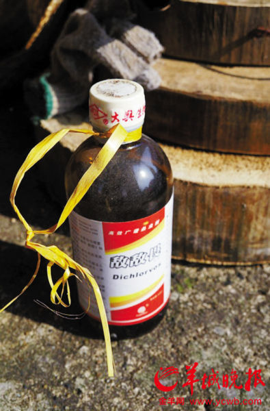 广东三水鱼干样本检出敌敌畏 部分已运往广宁县