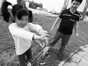 十三陵水库大闸蟹上市