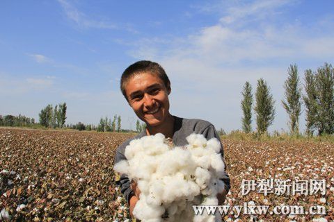 博乐市有多少人口_博乐市第九中学图片