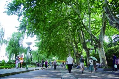 ӵ��ε����ա������������������ǵ�׷������ͼƬ