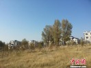 ���ɹ�ƶ���콨ŷʽ�����Ӵ����� ��Ӧ��Ϊ����