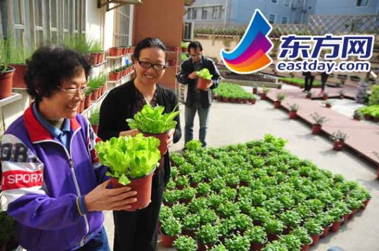 当社区教育遇到上海绿主妇:传播环保 和谐邻里