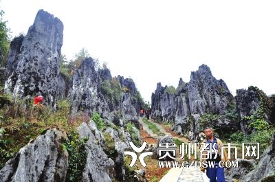 思南乌江喀斯特国家地质公园在核心景区长坝石林正式接碑开园