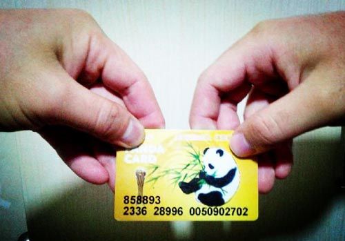 大美四川自然之美(五):一张熊猫卡 两个人的友