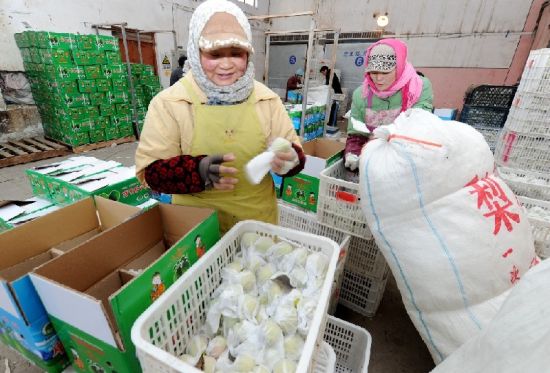 库尔勒香梨备战内地春节市场