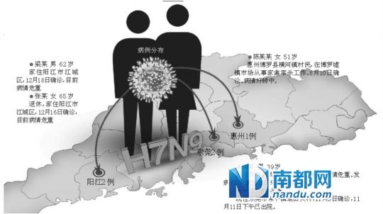 �ֲ�ͼ