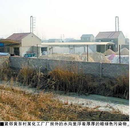 我国农村成污染重灾区:某地排污致小麦减产70%
