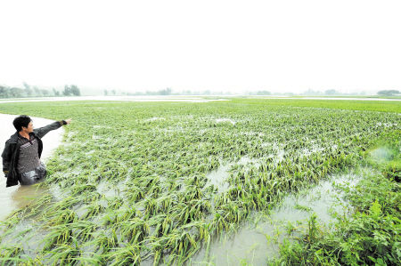 7号台风登陆 暴雨袭粤闽