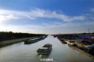 �й����˺���Ŀ�ɹ���ѡ�����Ļ��Ų���¼