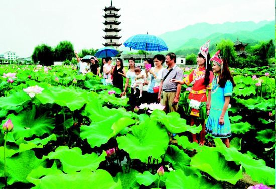 浙江武义十里荷花