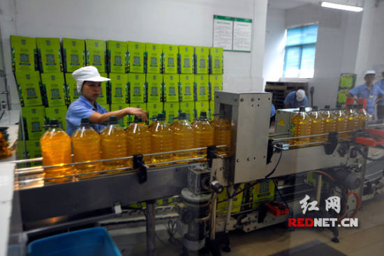 湖南茶油市场连年增长 食用油消费结构改变|食用油