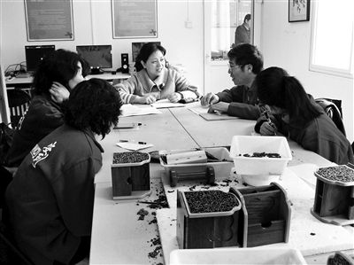 李楠:助残建议写进政府工作报告