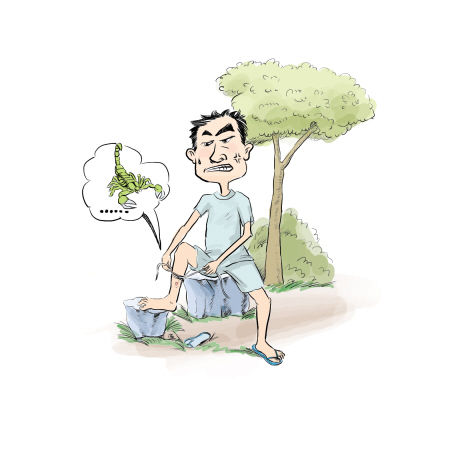 蛇虫咬伤,先自救再抢救