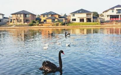 50万到澳大利亚当地主 今天就能实现!