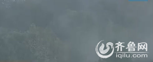 济南昨日突降热对流雨 泉城公园烟雾缭绕似仙