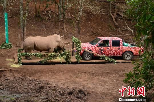 云南对国家重点保护野生动物进行本底调查
