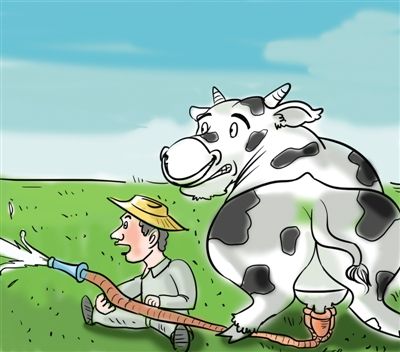河北奶农因奶价狂跌每日倒奶 养猪户买鲜奶喂
