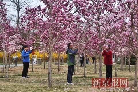 2015北京石景山春游季即將開幕