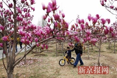 2015北京石景山春游季即將開(kāi)幕