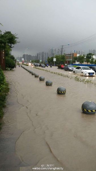 上海发暴雨橙色预警 近百条马路积水达膝盖|m