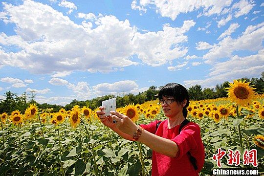 资料图 中新社发 韩海丹 摄