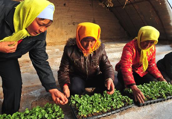 ͼ�ģ�������������������Դ��ũ���ڼ�����