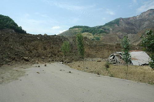 图文:地震造成青川县东河村山体大面积滑坡