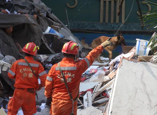 图文:搜救犬在搜寻被困人员