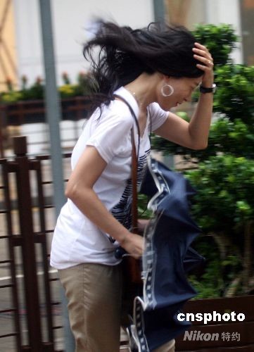 ̨����������۵�½��������12��(��ͼ)