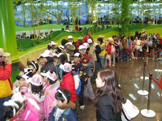 大陆赠台大熊猫首次与台湾民众见面 - 社会类
