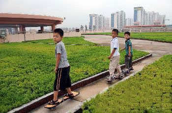 图文:临沂城区屋顶绿化面积达140万平方米
