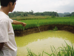 广西马山稻田塌陷出现直径10米大坑(图)